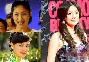 网红大瓜小说免费阅读 明星资讯娱乐新闻,网红大瓜小说免费阅读，明星资讯娱乐新闻汇总